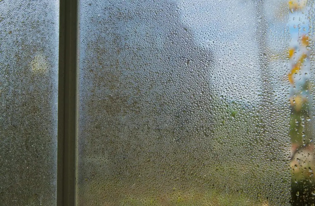 Condensation and water droplets covering a window pane